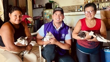 Cali retoma jornadas de esterilización extramural para fortalecer la protección animal