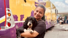 Cali retoma jornadas de esterilización extramural para fortalecer la protección animal
