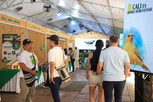 Con ‘pajareo’ por el río Cali, iniciaron las actividades de la Colombia BirdFair 2026