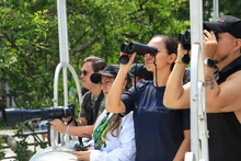 Con ‘pajareo’ por el río Cali, iniciaron las actividades de la Colombia BirdFair 2026