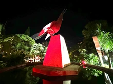 MARIA MULATA ILUMINADA (1)