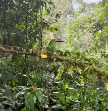 Cali alza vuelo ante el mundo: biodiversidad, ciencia y cooperación internacional