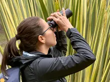 Cali alza vuelo ante el mundo: biodiversidad, ciencia y cooperación internacional