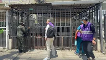 Centro de Bienestar Animal activa ruta interinstitucional para atender situación de colonia felina en San Judas