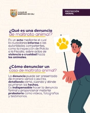 Centro de Bienestar Animal activa ruta interinstitucional para atender situación de colonia felina en San Judas