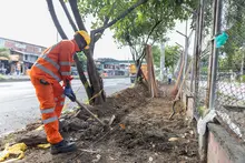 Nuevos andenes hacen parte de la recuperación de la Avenida Ciudad de Cali