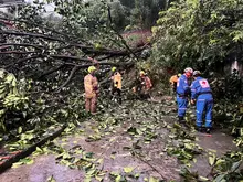 Sistema Distrital de Gestión del Riesgo atiende emergencias por lluvias en Cali este jueves 