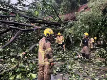 Sistema Distrital de Gestión del Riesgo atiende emergencias por lluvias en Cali este jueves 