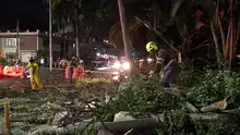 Cuadrilla de Emergencias Arbóreas del DAGMA atiende incidentes tras lluvias del 19 de febrero