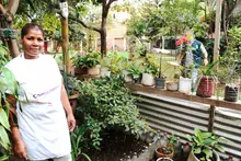 Cali siembra amor en los territorios a través de las huertas comunitarias de los comedores comunitarios