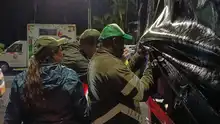 El Dagma aprehende preventivamente madera ilegal durante el primer operativo nacional de control forestal de 202