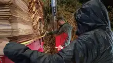 El Dagma aprehende preventivamente madera ilegal durante el primer operativo nacional de control forestal de 202