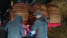 El Dagma aprehende preventivamente madera ilegal durante el primer operativo nacional de control forestal de 202