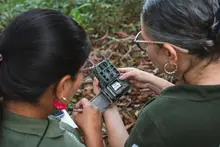 Confirman la presencia de un oso de anteojos en predios de conservación de Cali