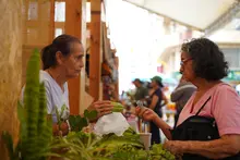 Gracias a Mercando Campesino, los caleños podrán mercar en la Plaza de Caycedo este viernes