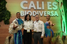 Cali y Veracruz avanzan en alianza internacional para intercambio salsero y cultural