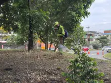 Comunidad, Alcaldía y Policía lideran intervención integral en el Puente de los Mil Días