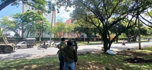 El Dagma avanza en la identificación de puntos críticos de arrojo clandestino de residuos sólidos