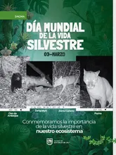 Cali conmemoró el ‘Día Mundial de la Vida Silvestre’ con la liberación de aves, reptiles y mamíferos en su hábitat natural