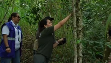 Cali conmemoró el ‘Día Mundial de la Vida Silvestre’ con la liberación de aves, reptiles y mamíferos en su hábitat natural
