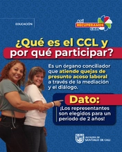 CARRUSEL PASO A PASO INSCRIPCION  Y ELECCION DEL COMITE DE CONVIVENCIA LABORAL-02