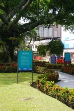 Inició la recuperación ambiental y paisajística del tramo uno en la avenida Ciudad de Cali