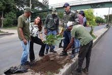 Inició la recuperación ambiental y paisajística del tramo uno en la avenida Ciudad de Cali
