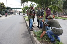 Inició la recuperación ambiental y paisajística del tramo uno en la avenida Ciudad de Cali