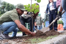Inició la recuperación ambiental y paisajística del tramo uno en la avenida Ciudad de Cali