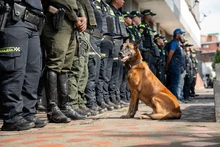 Continúan las ‘megatomas’ por la seguridad de Cali: el centro de la ciudad fue nuevamente intervenido