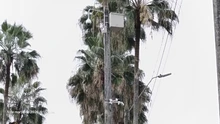 El Dagma aporta a la seguridad en el sur de Cali: se despejan cámaras de videovigilancia en la avenida Pasoancho