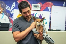 Bienestar Animal atendió denuncia ciudadana y rescata a perrita, en grave estado de salud, en conjunto residencial