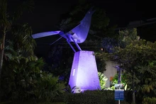 Cinco hitos de Cali se iluminan de violeta: un homenaje al liderazgo y resiliencia de las mujeres