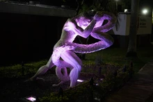 Cinco hitos de Cali se iluminan de violeta: un homenaje al liderazgo y resiliencia de las mujeres