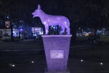 Cinco hitos de Cali se iluminan de violeta: un homenaje al liderazgo y resiliencia de las mujeres