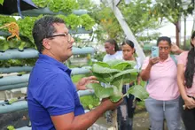 En la zona rural, Las Mujeres de la Huerta recibieron apoyo para fortalecer su emprendimiento agrícola 