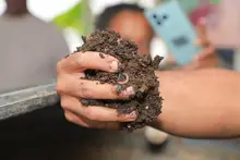 En la zona rural, Las Mujeres de la Huerta recibieron apoyo para fortalecer su emprendimiento agrícola 