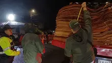 Se intensifican los operativos contra el tráfico de fauna y flora silvestre en víspera de la Semana Santa