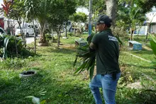 ‘Distrito + Verde’, una estrategia del Dagma que transforma barrios y fortalece la identidad ambiental de Cali