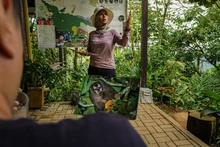 Bosque Colibrí: naturaleza, bienestar y conservación a pocos minutos de Cali
