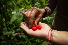 Bosque Colibrí: naturaleza, bienestar y conservación a pocos minutos de Cali