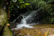 Bosque Colibrí: naturaleza, bienestar y conservación a pocos minutos de Cali