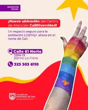 Ruta atención Cali Diversidad 1