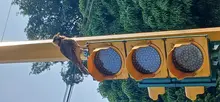 Articulan operativos de control para mitigar alteraciones en el comportamiento de la fauna silvestre