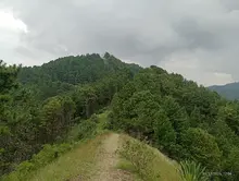 Se restringe el ingreso de animales de compañía a Las Lomas del Camello: Dagma busca preservar la fauna silvestre