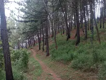 Se restringe el ingreso de animales de compañía a Las Lomas del Camello: Dagma busca preservar la fauna silvestre