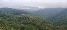 Se restringe el ingreso de animales de compañía a Las Lomas del Camello: Dagma busca preservar la fauna silvestre