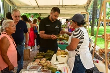 Mercando Campesino vuelve a la Plaza de Caycedo con productos frescos y a precios justos