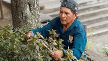 El Parque de los Poetas se puso ‘1A’ para recibir turistas, gracias a jornada de embellecimiento de la Alcaldía de Cali y la Policía