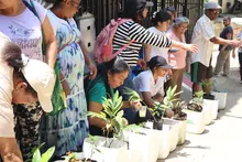 Con jardines polinizadores, la comunidad en Brisas de las Palmas busca mitigar los efectos del cambio climático